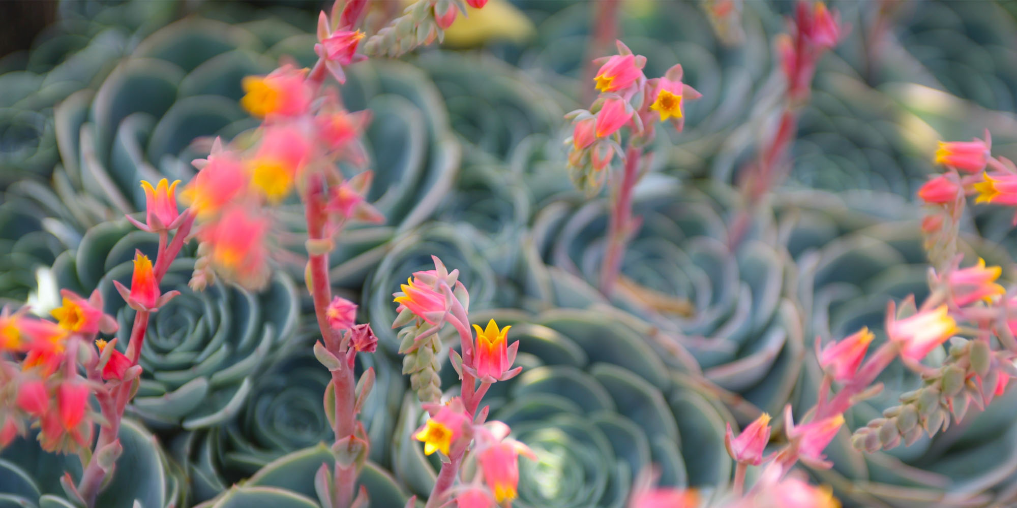 Heritage House Assisted Living home page Heritage House Assisted Living home page