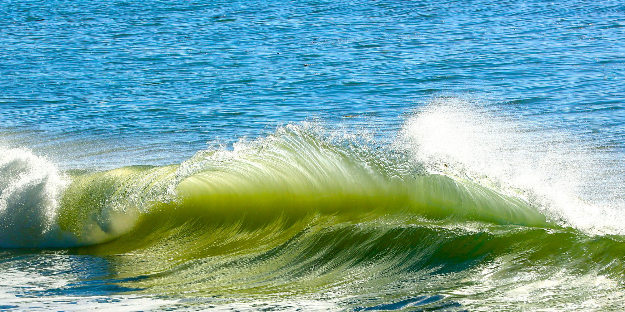 Miramar Santa Barbara Miramar Santa Barbara