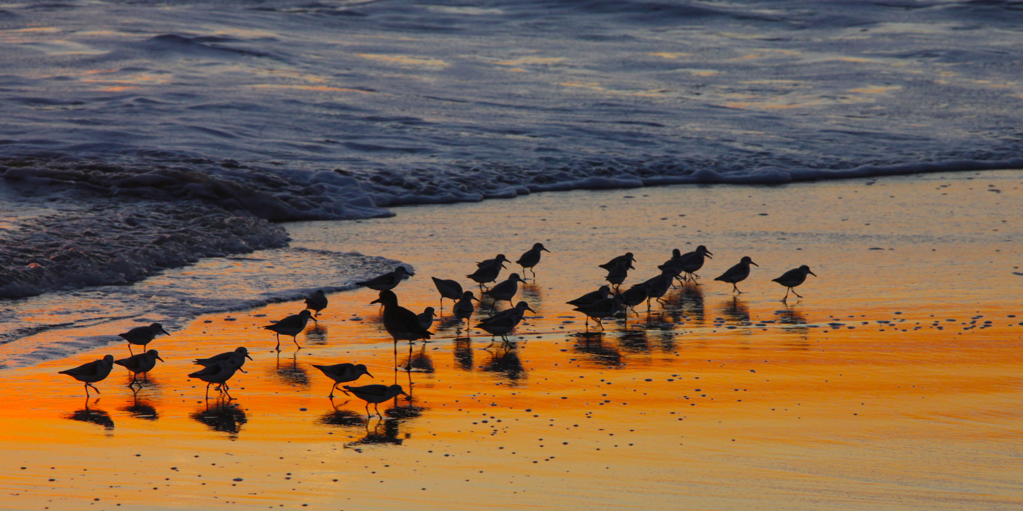 The Kennedys The Kennedys